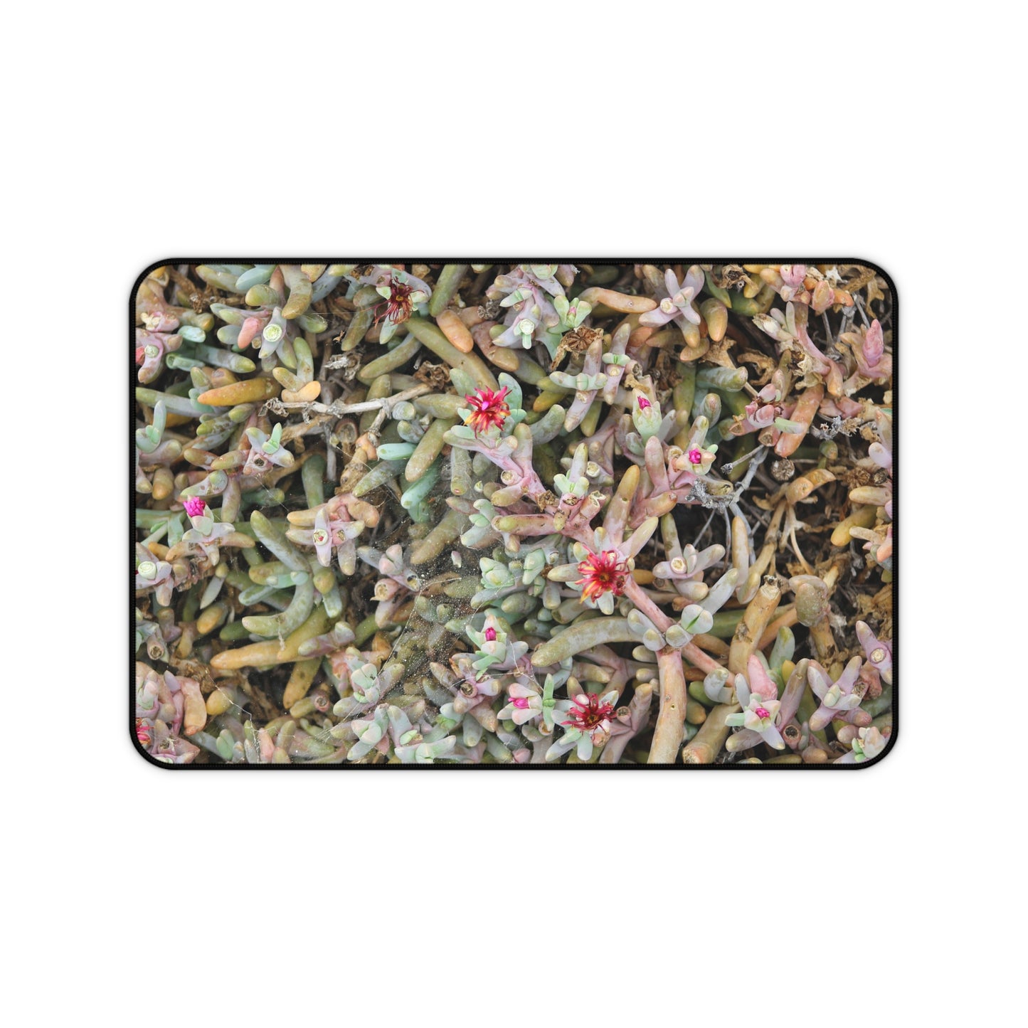 Succulent Symphony Desk Mat