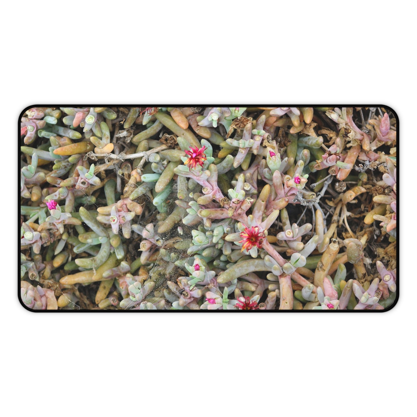 Succulent Symphony Desk Mat