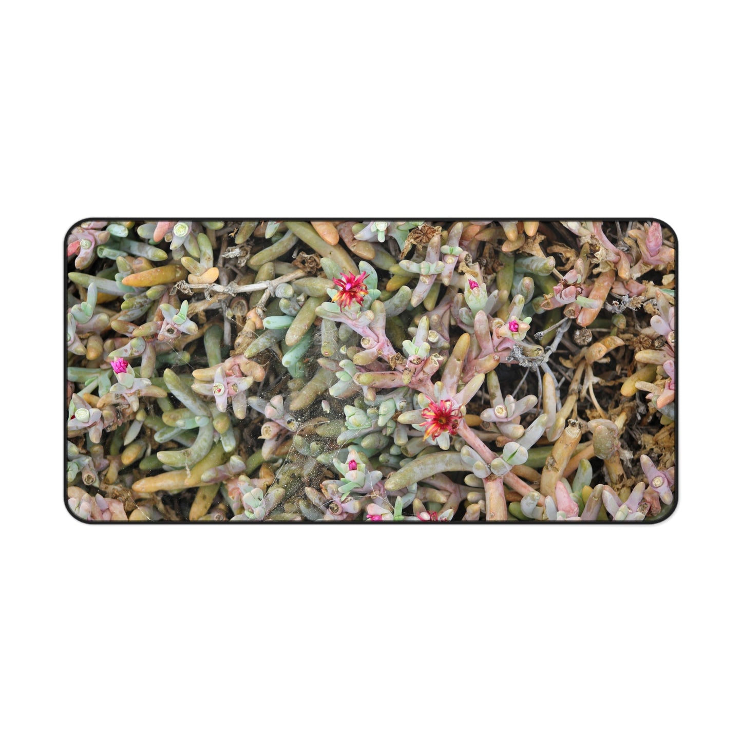 Succulent Symphony Desk Mat